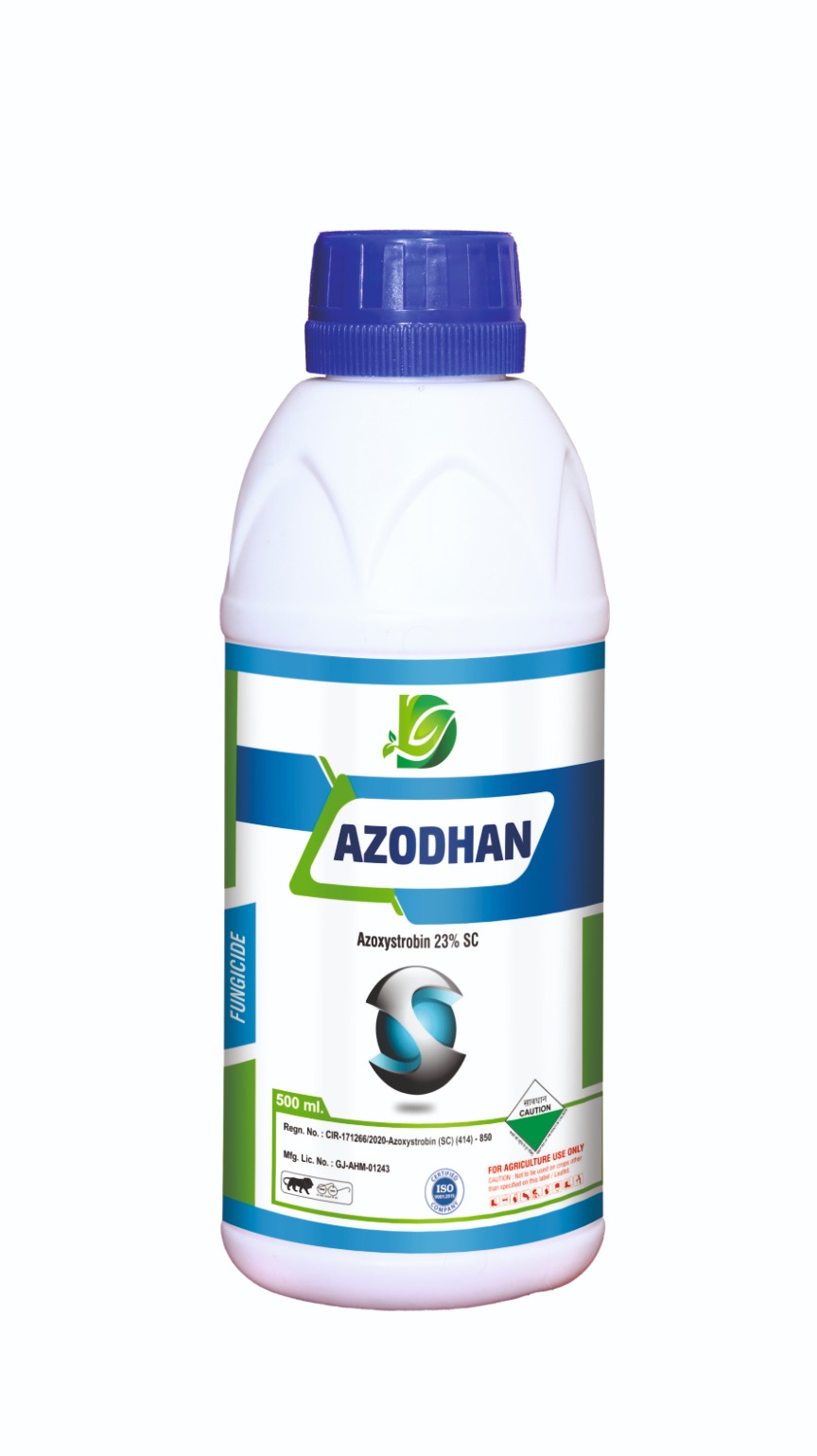 AZO DHAN