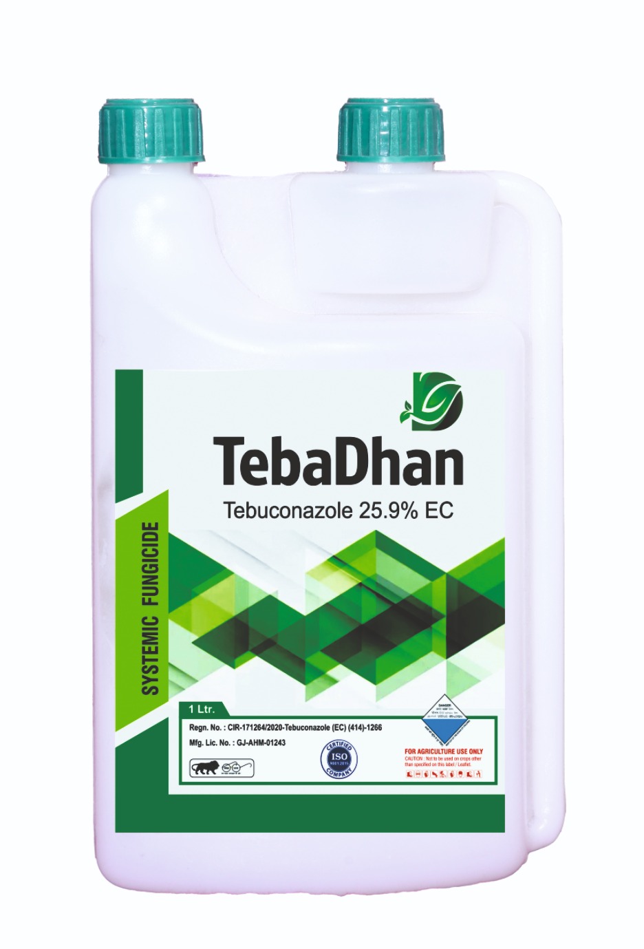TEBA DHAN